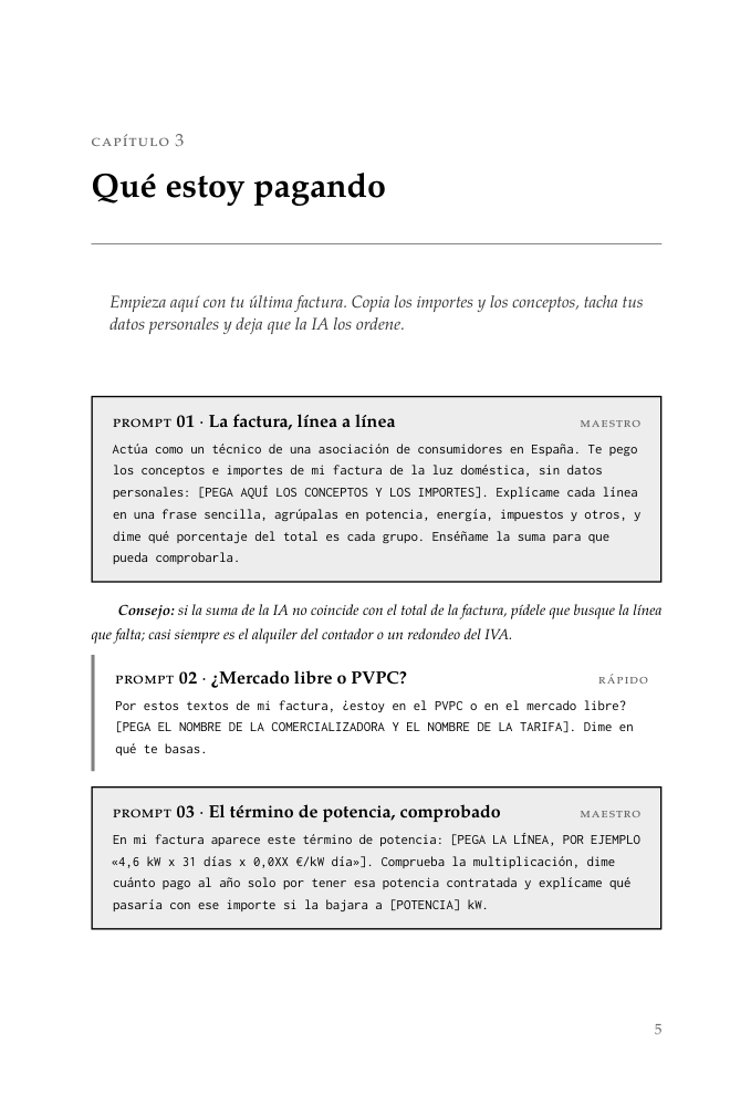 Página: capítulo «Qué estoy pagando» con los prompts 01 a 03